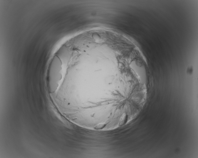 X0000115701375200912241514