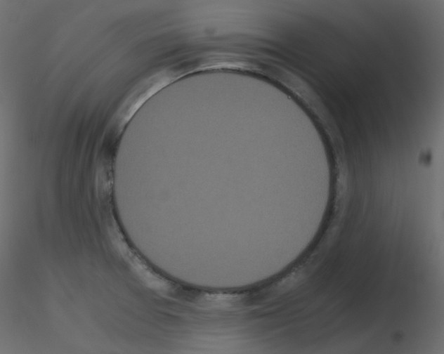 X0000115701377200912241514