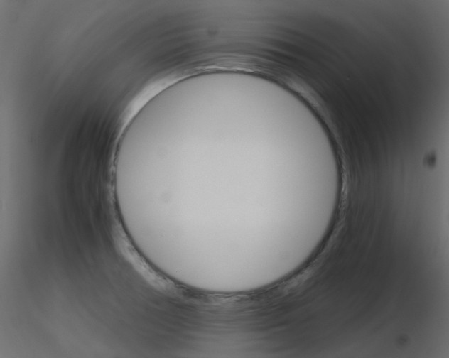 X0000115701378200912241514