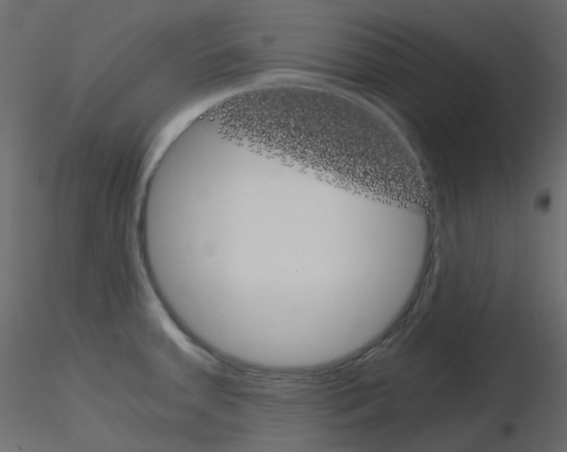 X0000115701379200912241514