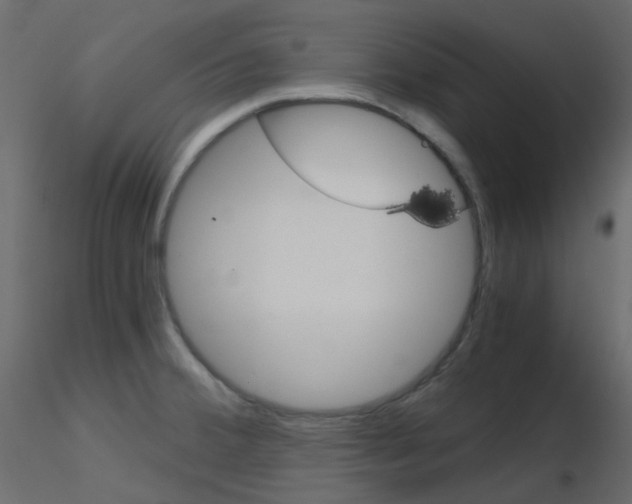 X0000115701380200912241514