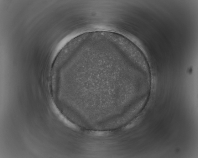 X0000115701381200912241513