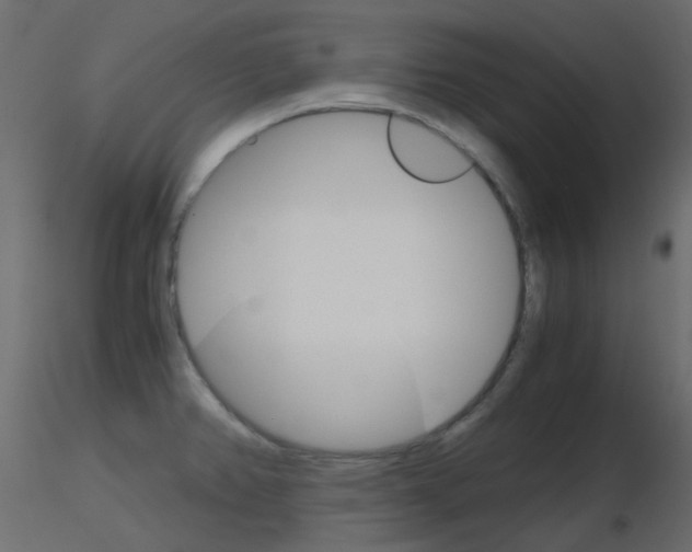 X0000115701382200912241513