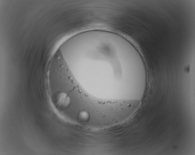 X0000115701383200912241513