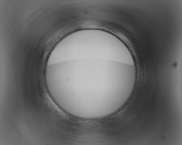 X0000115701384200912241513