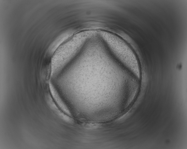 X0000115701385200912241513