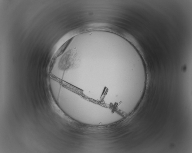 X0000115701386200912241513