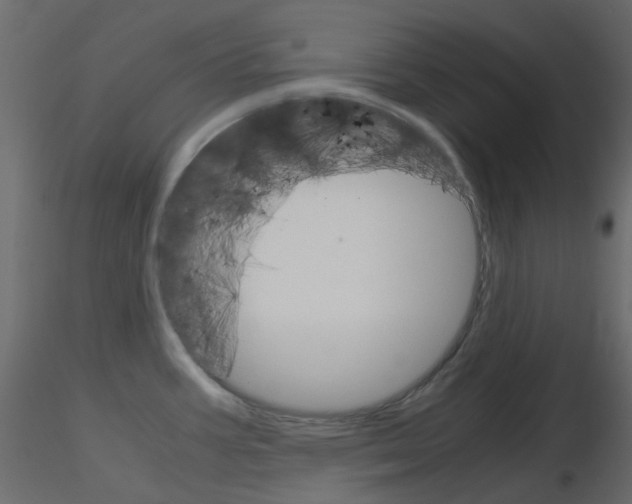 X0000115701387200912241513