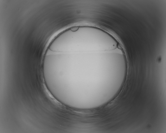 X0000115701388200912241513