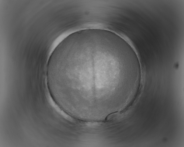 X0000115701389200912241513