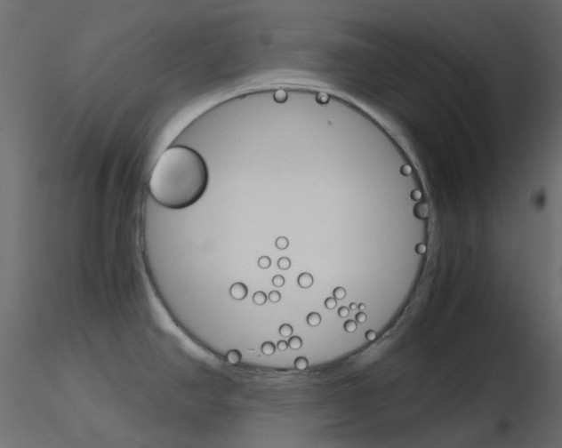 X0000115701390200912241513