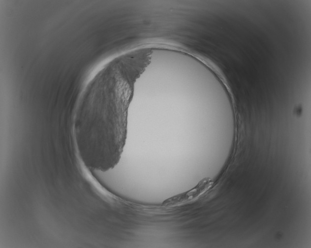 X0000115701391200912241513