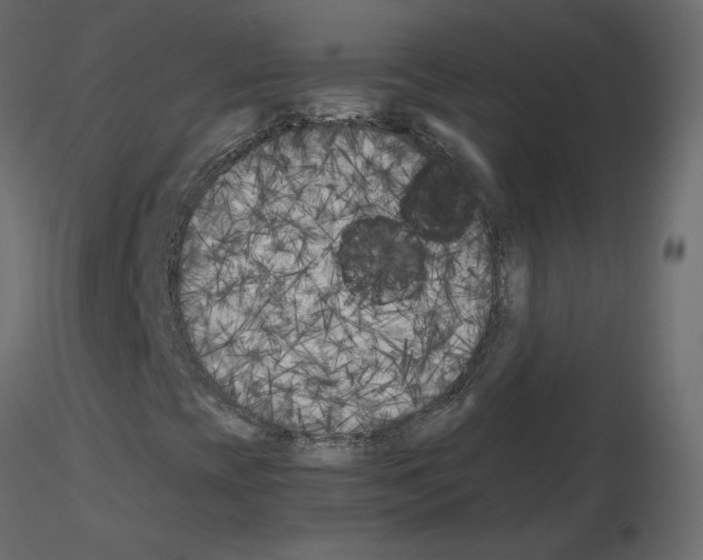 X0000115701393200912241513