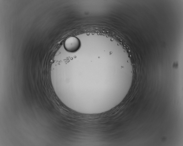 X0000115701394200912241513