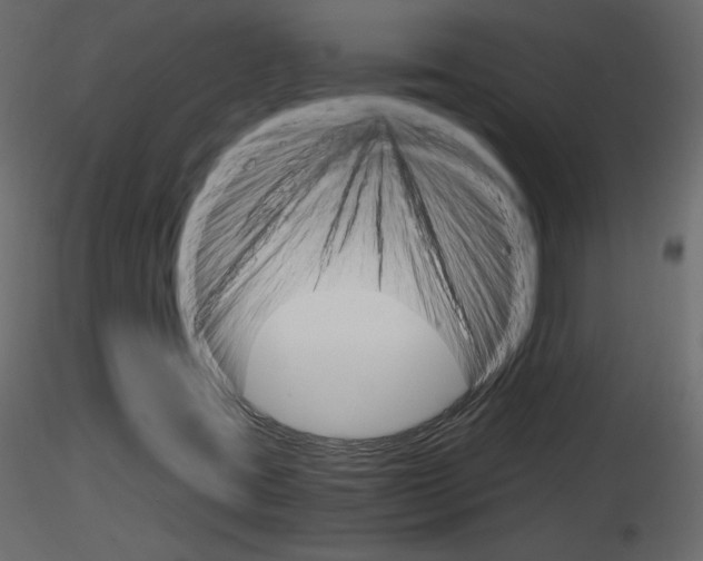 X0000115701395200912241513