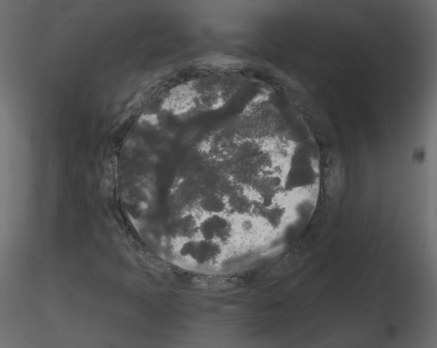 X0000115701397200912241513