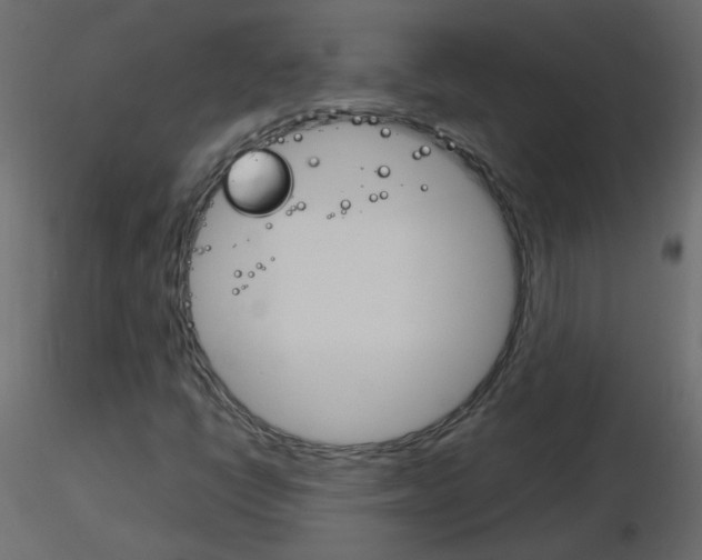 X0000115701398200912241513