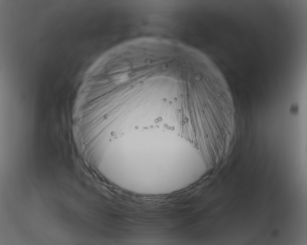 X0000115701399200912241513