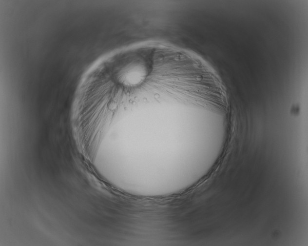 X0000115701400200912241513