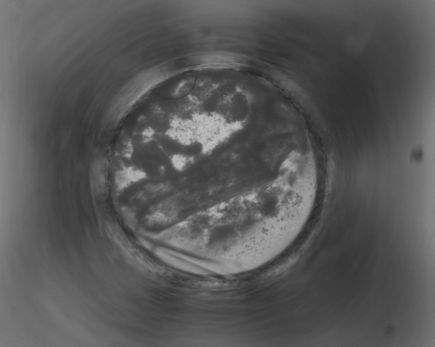 X0000115701401200912241513