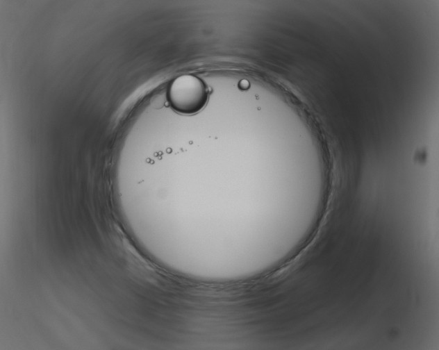 X0000115701402200912241513