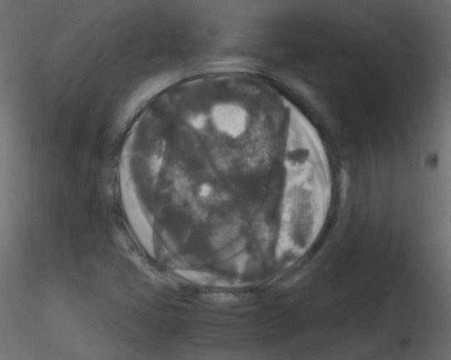 X0000115701405200912241513