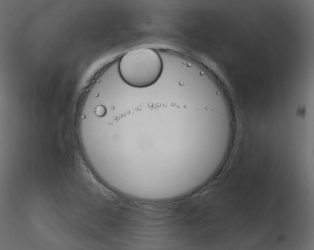 X0000115701408200912241513