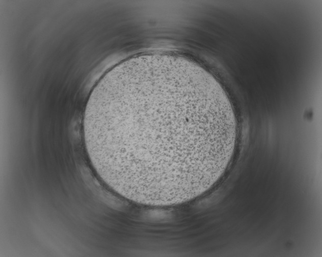 X0000115701409200912241513