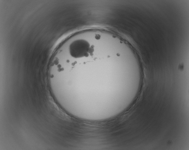 X0000115701412200912241513