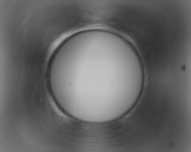 X0000115701414200912241513