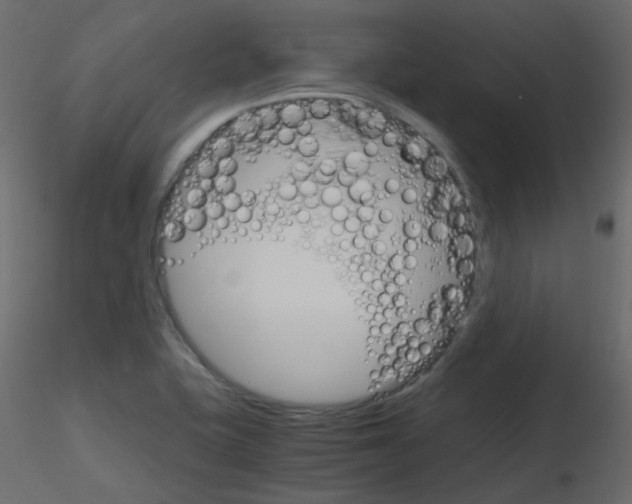 X0000115701415200912241513