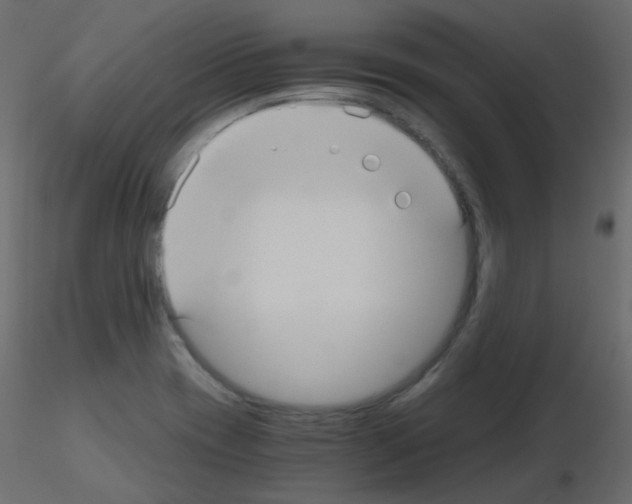 X0000115701417200912241513