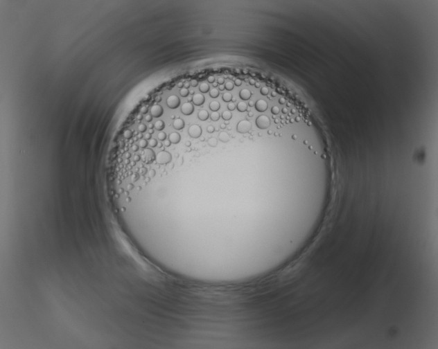 X0000115701418200912241513