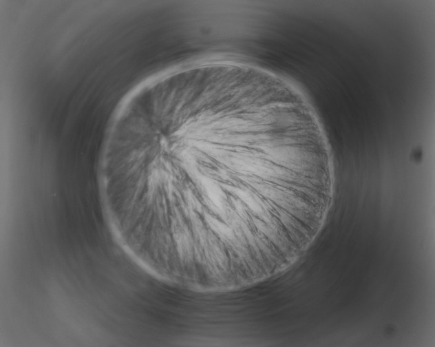 X0000115701419200912241513