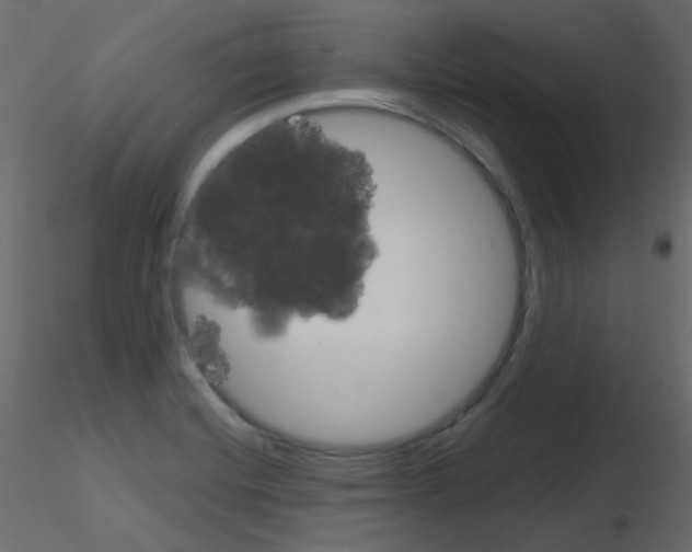 X0000115701420200912241513