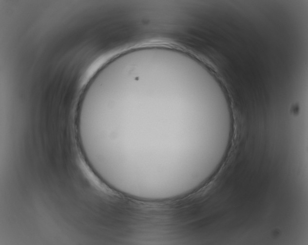 X0000115701422200912241513