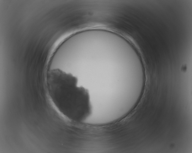 X0000115701424200912241513