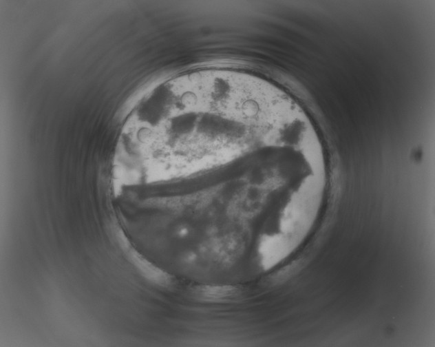 X0000115701425200912241513