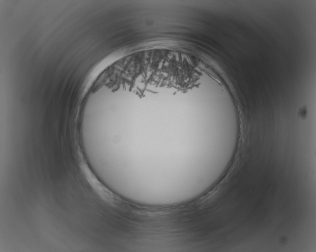 X0000115701426200912241513