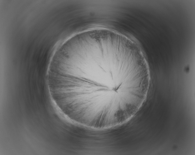 X0000115701427200912241513