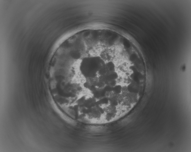 X0000115701429200912241513