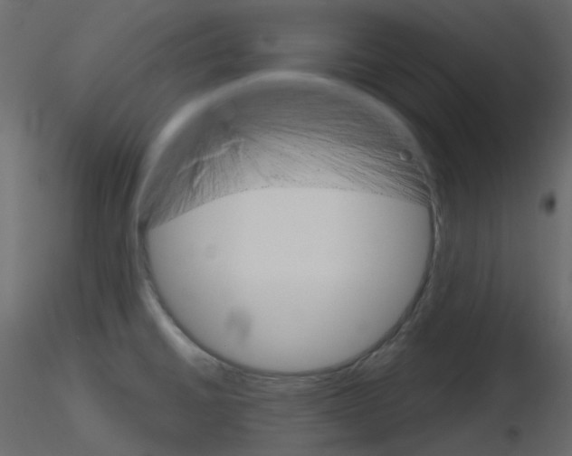 X0000115701430200912241513