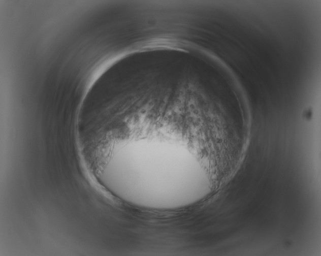 X0000115701431200912241513