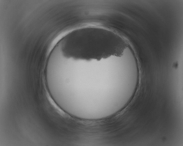 X0000115701432200912241513