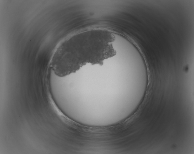 X0000115701434200912241513