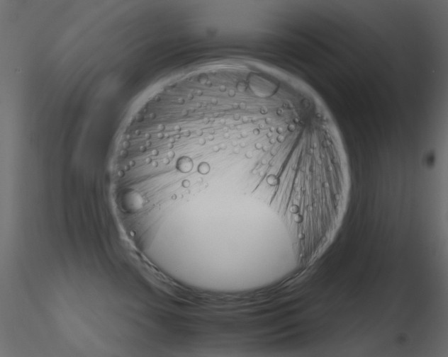 X0000115701435200912241513