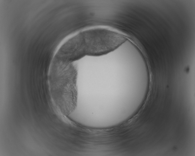 X0000115701436200912241513