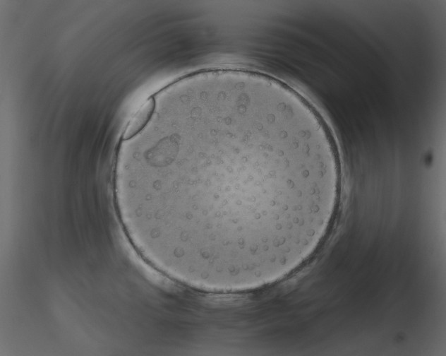 X0000115701437200912241513