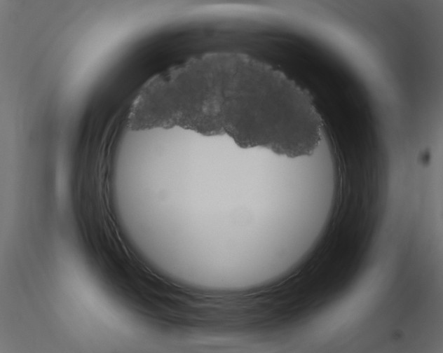 X0000115701438200912241513