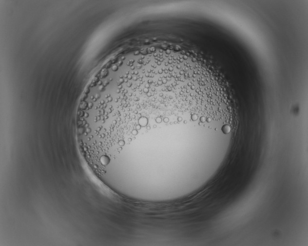 X0000115701439200912241513